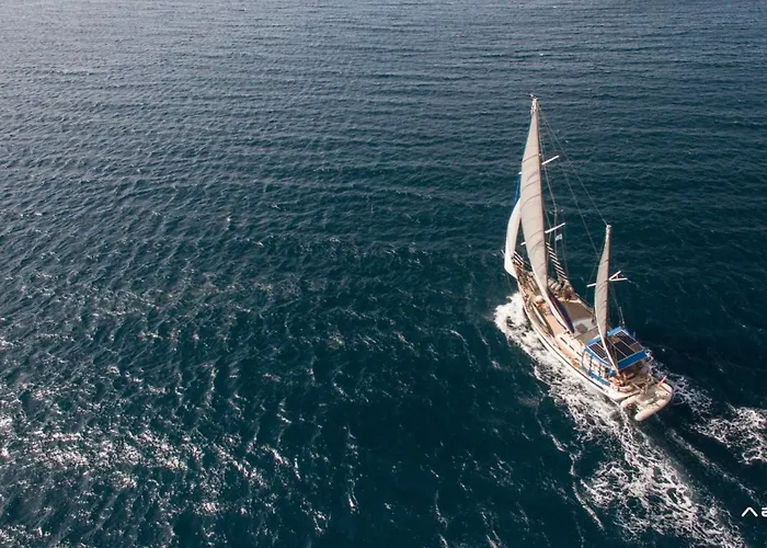 ファイニカス 4*